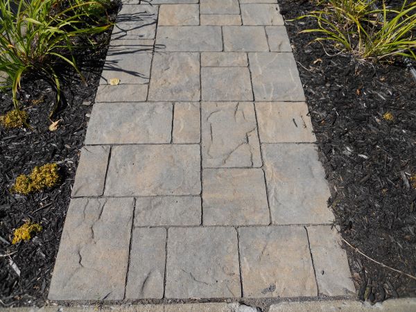 Stamped Concrete Staining in Kirkland