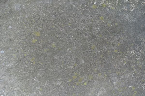 Cost of Slab Staining Service in Kirkland
